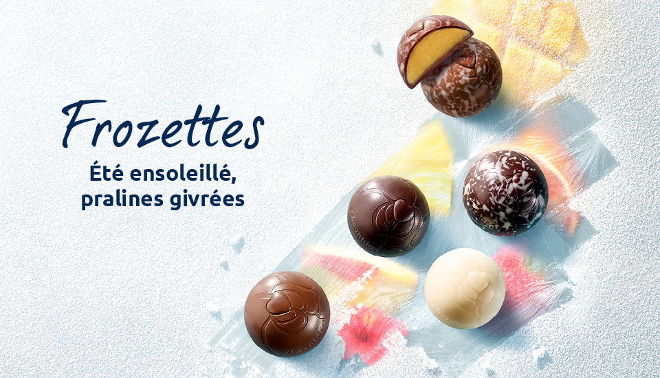 Leonidas Arc en Ciel