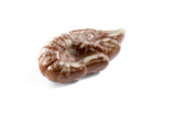 Ballotin de fruits de mer et coquillages · 1 kg 6